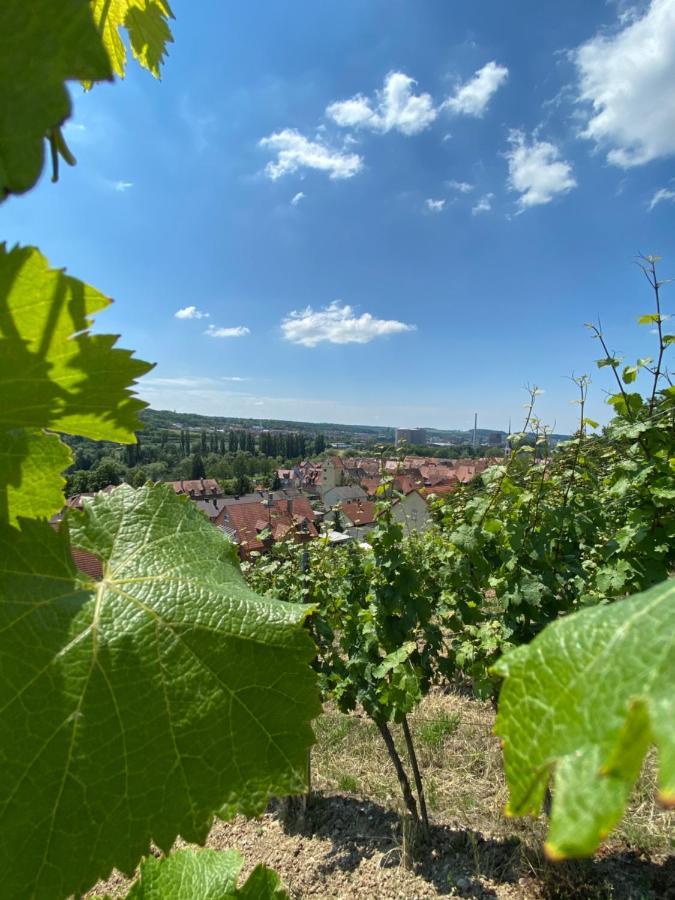 Ferienwohnung Wohlsein Frickenhausen am Main Luaran gambar
